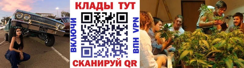 ГАШИШ Мосальск