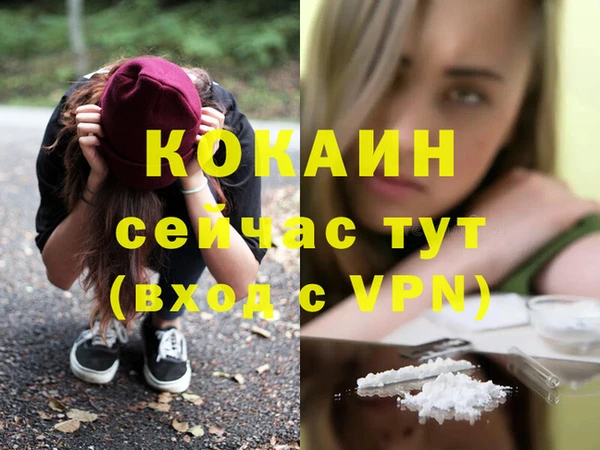 мяу мяу мука Мегион
