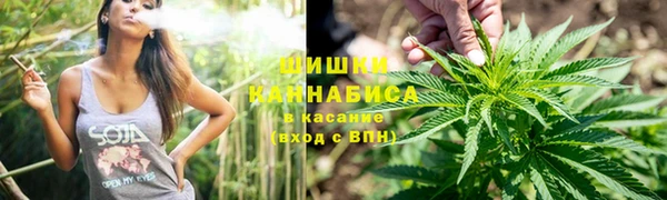 ГАЛЛЮЦИНОГЕННЫЕ ГРИБЫ Верея